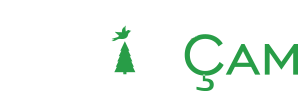 logo-img