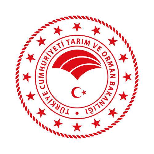 Sedir Çam Ormancılık