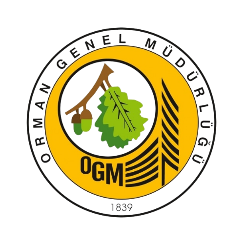 Sedir Çam Ormancılık