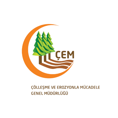 Sedir Çam Ormancılık